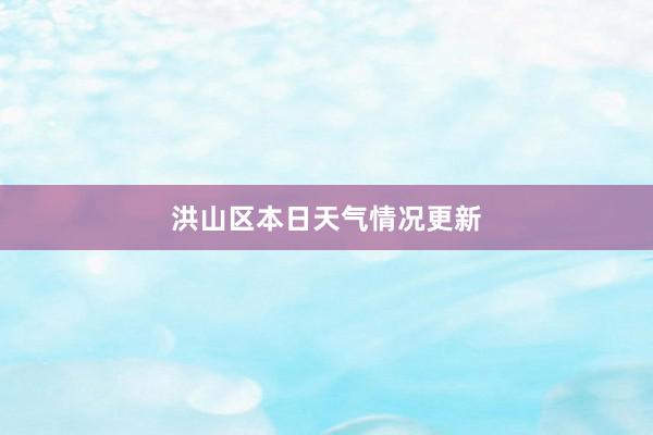 洪山区本日天气情况更新